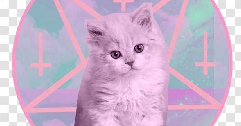 Kitten Cat Satanism Baphomet - Eye Transparent PNG