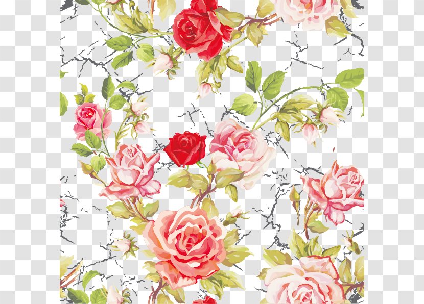 Garden Roses Centifolia Flower Pattern - Plant - A Of Decorative Patterns Transparent PNG