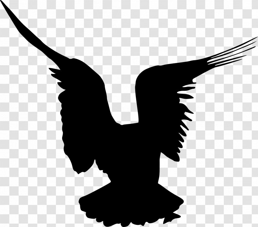 Bird Silhouette Clip Art - Wing - Birds Transparent PNG