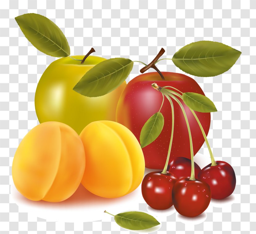Vector Graphics Fruit Clip Art Apple Illustration - Woody Plant Transparent PNG