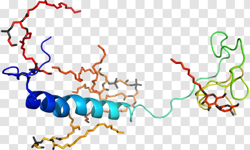 Line Point Organism Clip Art - Agricultural Chin Transparent PNG