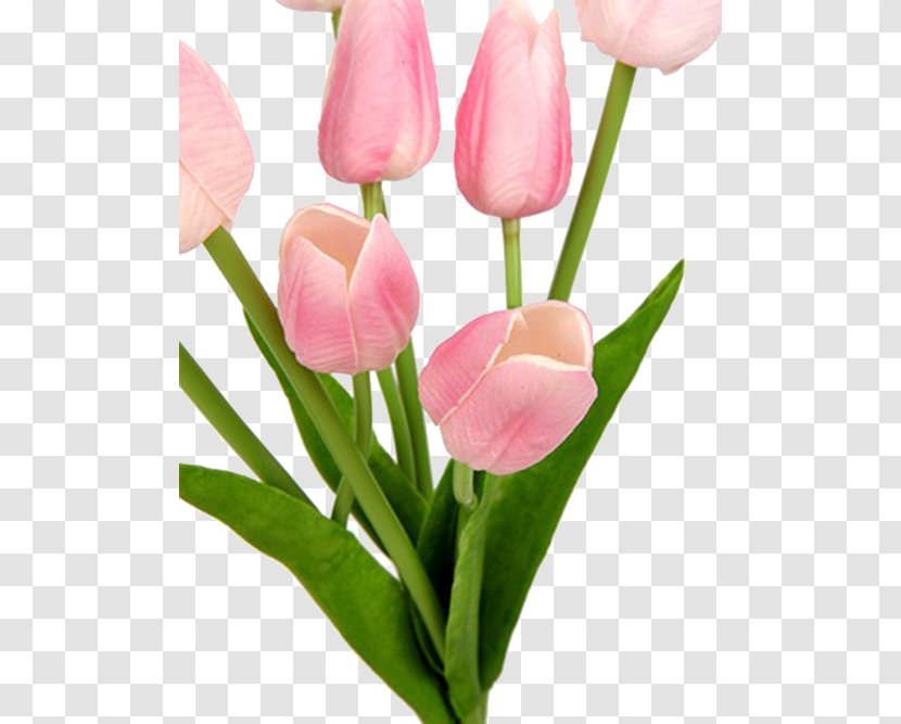 Tulip Pink Flower Bouquet Floristry Cut Flowers - Seed Plant - Real Transparent PNG