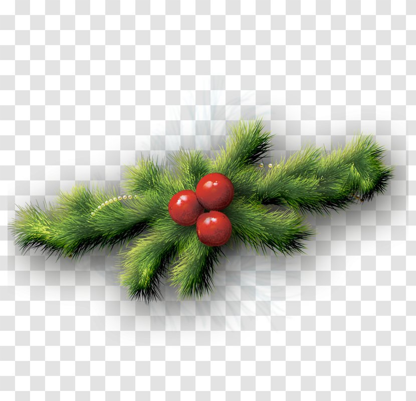 Fir Christmas Ornament Spruce Pine - Grass Transparent PNG