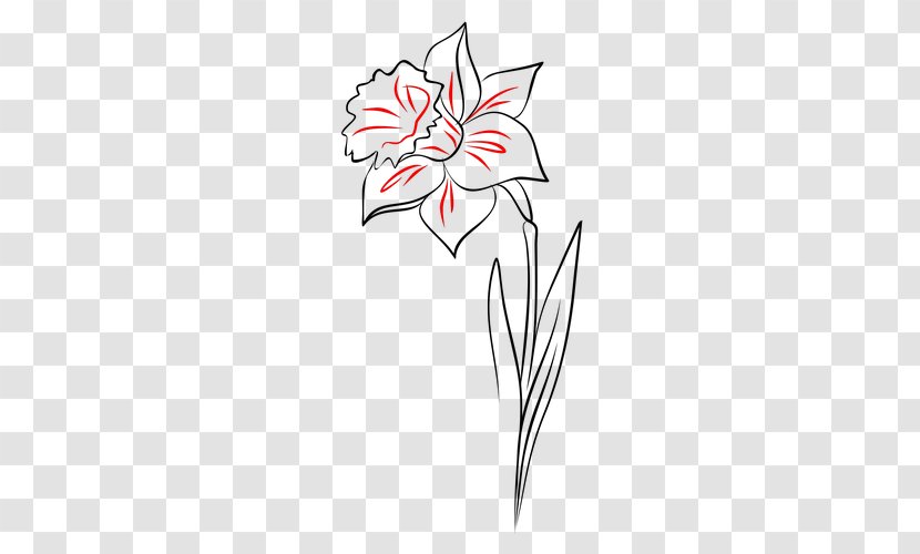 Flower Line Art Drawing - Black And White - Gerbera Transparent PNG