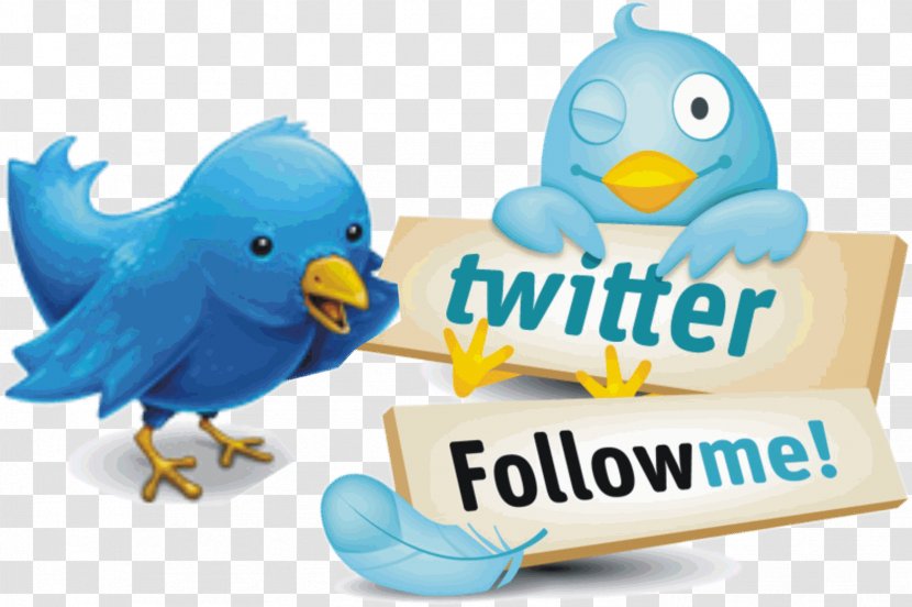 Twitter Image Graphics Photograph Like Button Transparent PNG