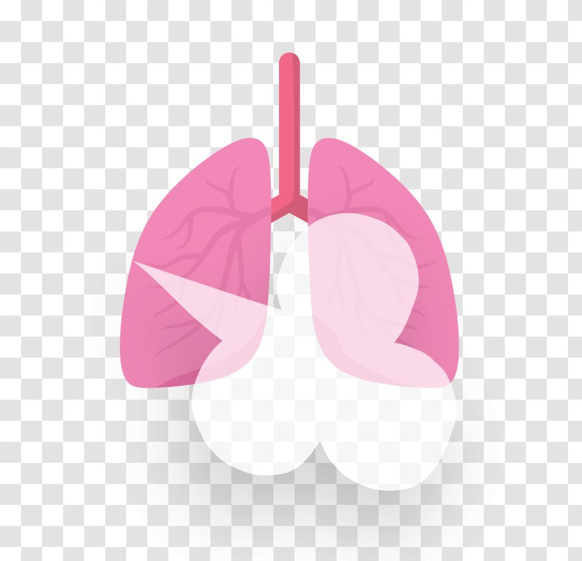 Chronic Obstructive Pulmonary Disease Lung Condition Bronchitis Transparent PNG