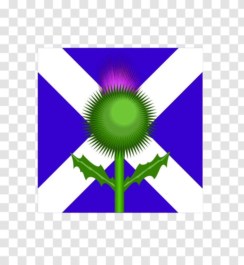 Flag Of Scotland Thistle Clip Art - The United Kingdom - Cliparts Transparent PNG