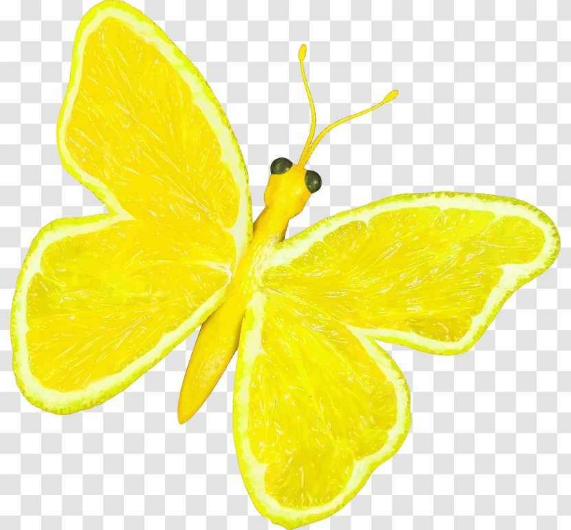 Butterfly Lemon Orange Fruit Clip Art - Monarch - Citrus Transparent PNG