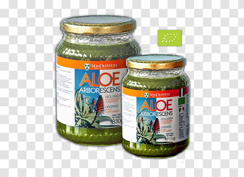 Candelabra Aloe Condiment Vera Gram - Aleo Transparent PNG