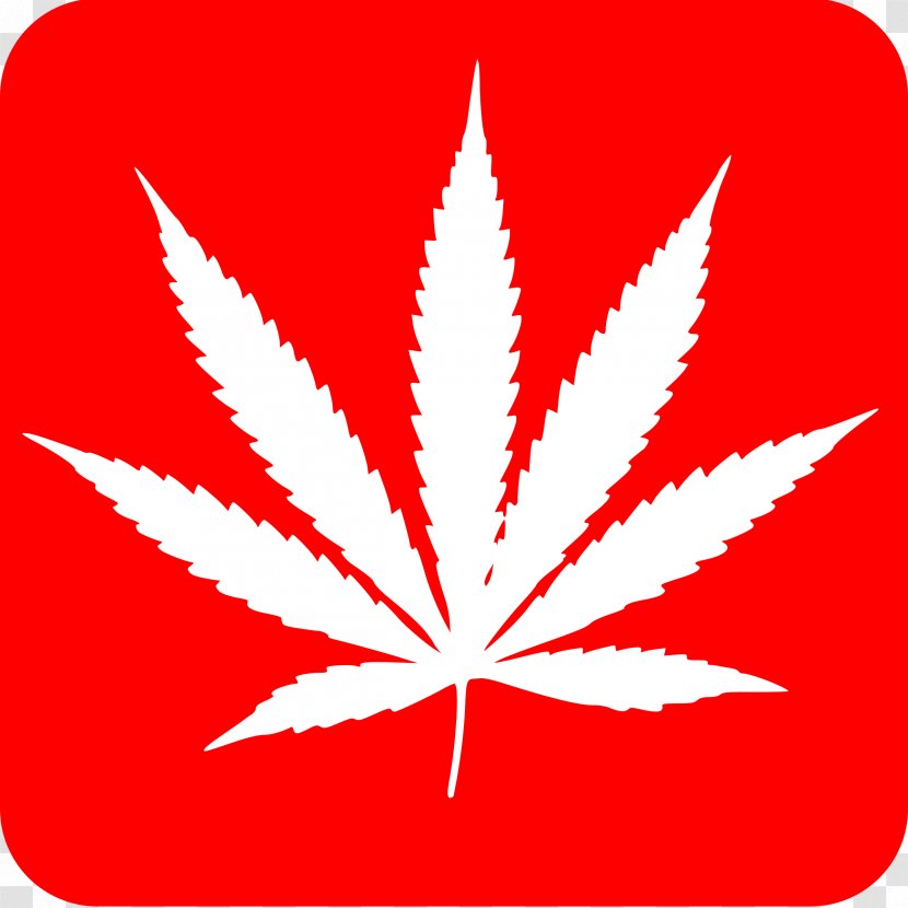 Medical Cannabis Hash Oil Drug Cannabidiol - Woody Plant Transparent PNG