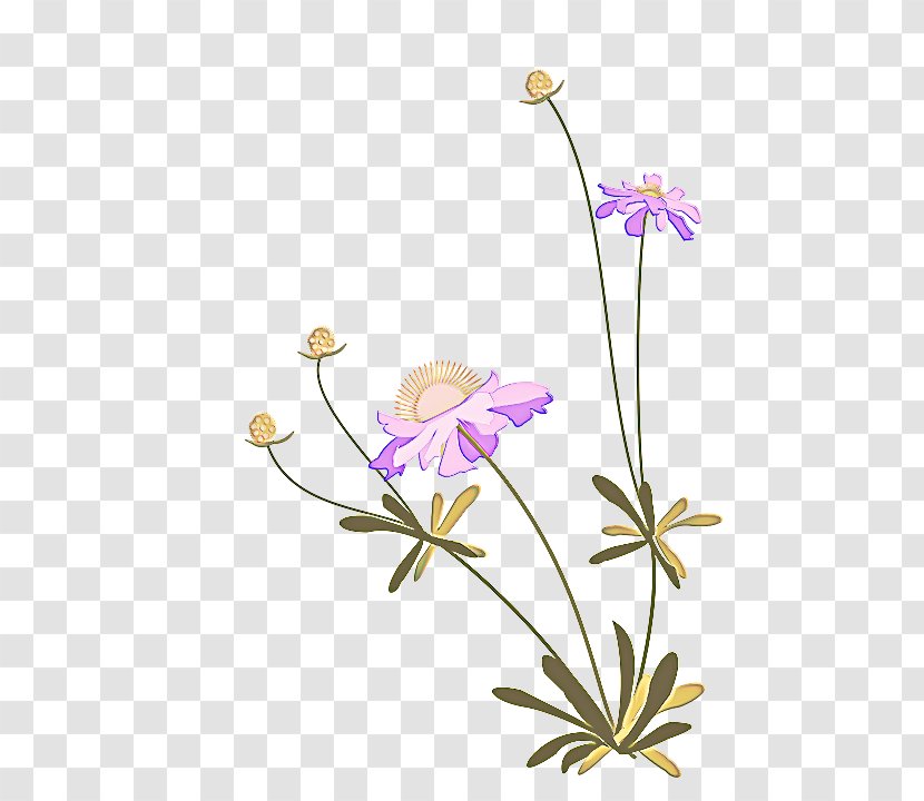 Flower Flowering Plant Petal Pedicel - Wild Cranesbill Japanese Anemone Transparent PNG