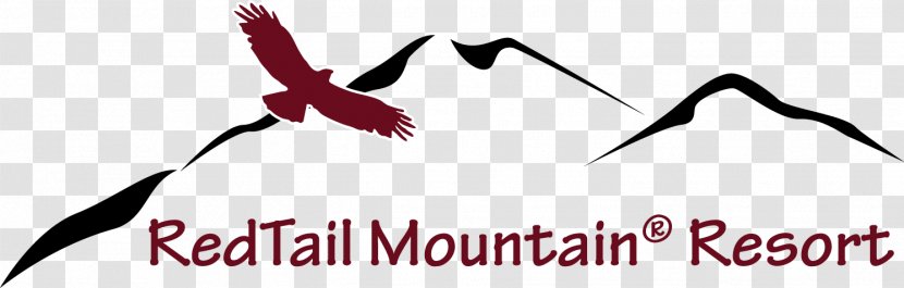 RedTail Mountain Resort Accommodation Golf Course - Redtailed Hawk Transparent PNG