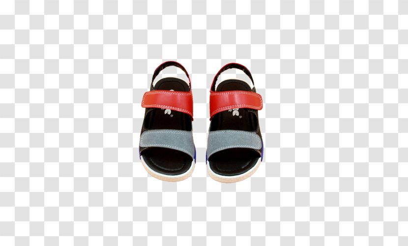 Blue Red Sandal Designer - A Pair Of And Black Sandals Transparent PNG