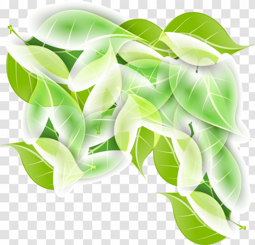 Leaf Branch - Wow Logistics - Fresh Green Leaves Transparent PNG