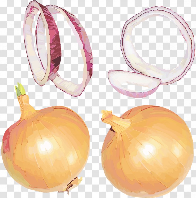 Yellow Onion Vegetable Plant Allium - Food - Amaryllis Family Pearl Transparent PNG