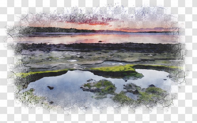 Watercolor Painting Salt Marsh Water Resources Transparent PNG