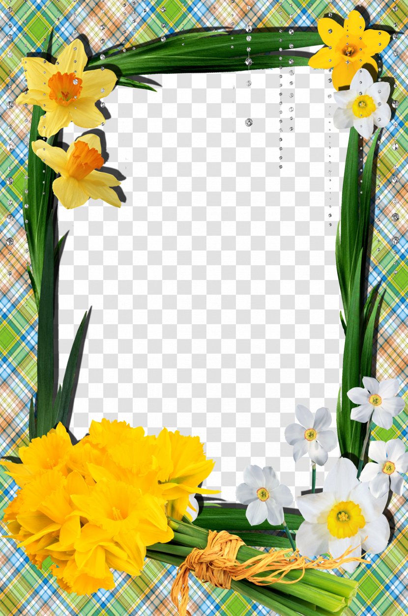 Narcissus Tazetta No Picture Frame - Yellow - Mood Pictures Transparent PNG