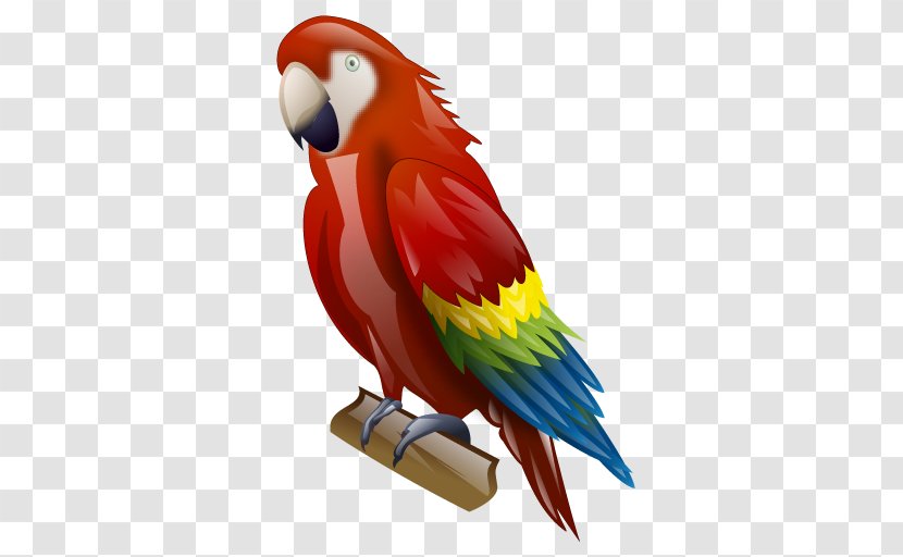 Lovebird - Macaw - Budgie Parakeet Transparent PNG
