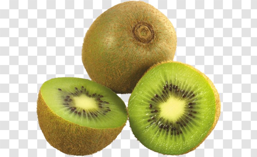 Kiwifruit Image Clip Art Vector Graphics - Drawing - Hardy Kiwi Actinidia Transparent PNG