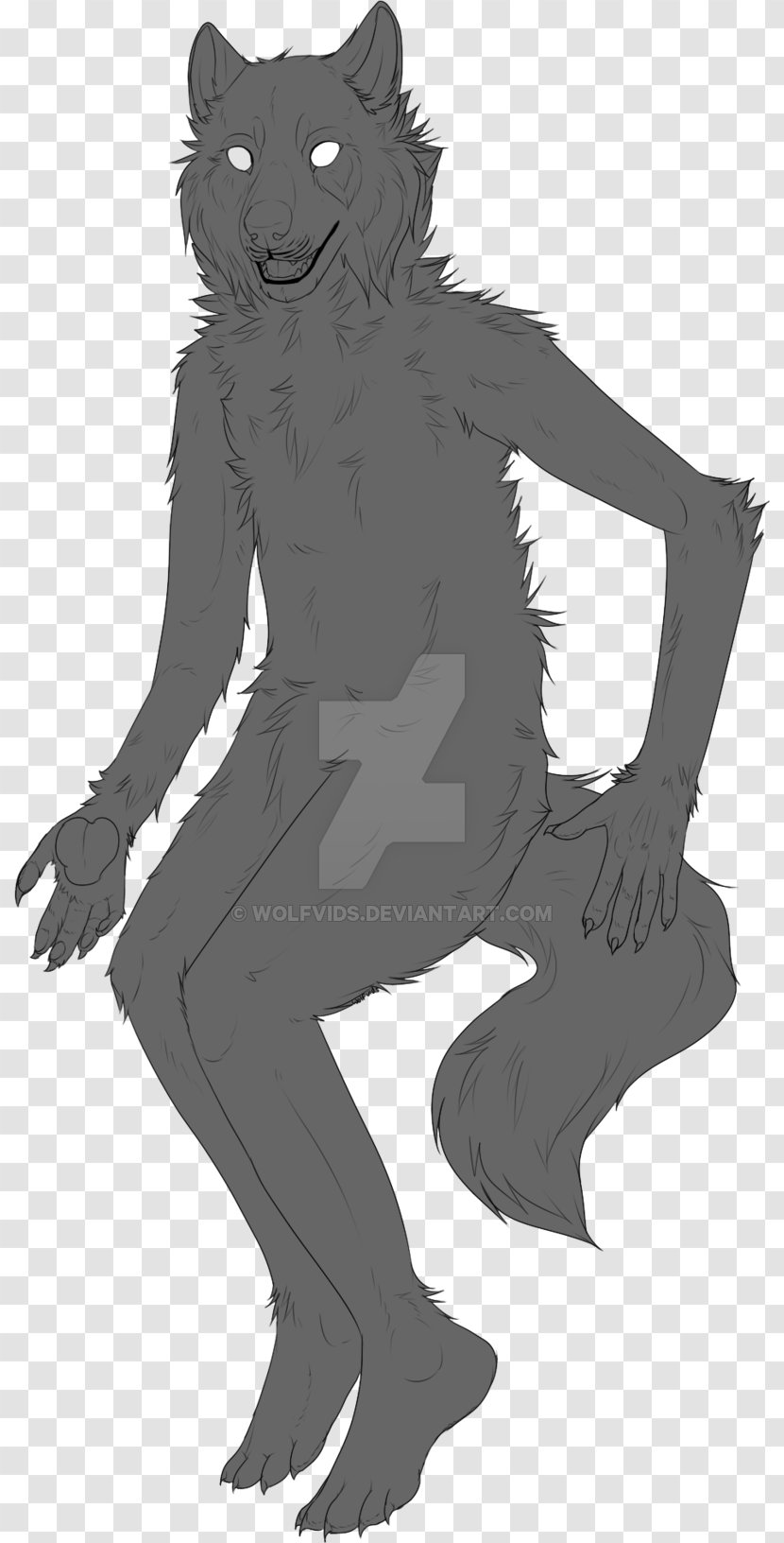 Cat Line Art Drawing - Animal - Werewolf Transparent PNG