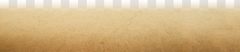 Wood Flooring Sunlight White Hardwood - Illustration Beach Transparent PNG