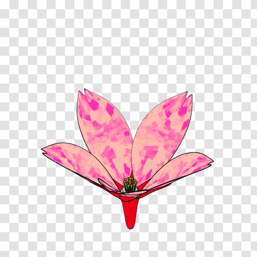 Flowering Plant Petal Leaf Pink M - Flower Transparent PNG