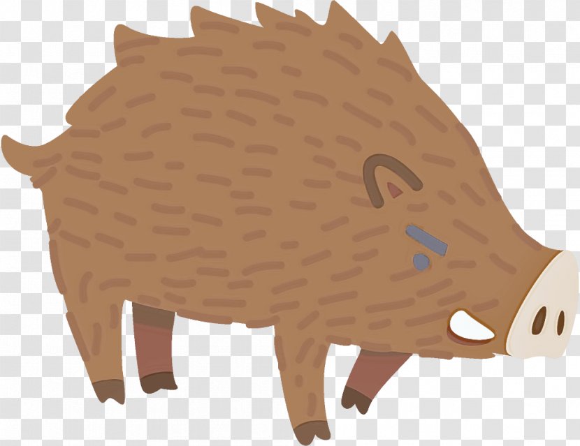 Boar Hedgehog Livestock Suidae Snout - Erinaceidae Transparent PNG