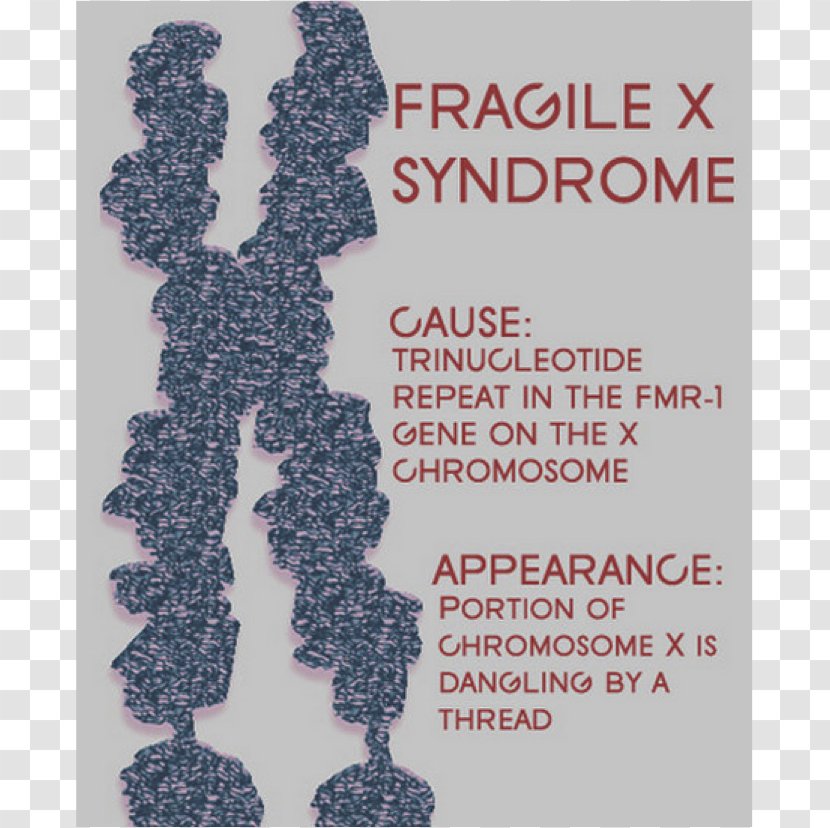 Fragile X Syndrome Intellectual Disability Genetic Disorder 22q13 Deletion - Autism Transparent PNG