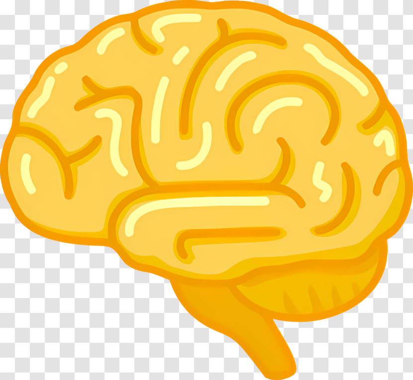 Human Brain - Yellow Brain Illustration For Education Transparent PNG