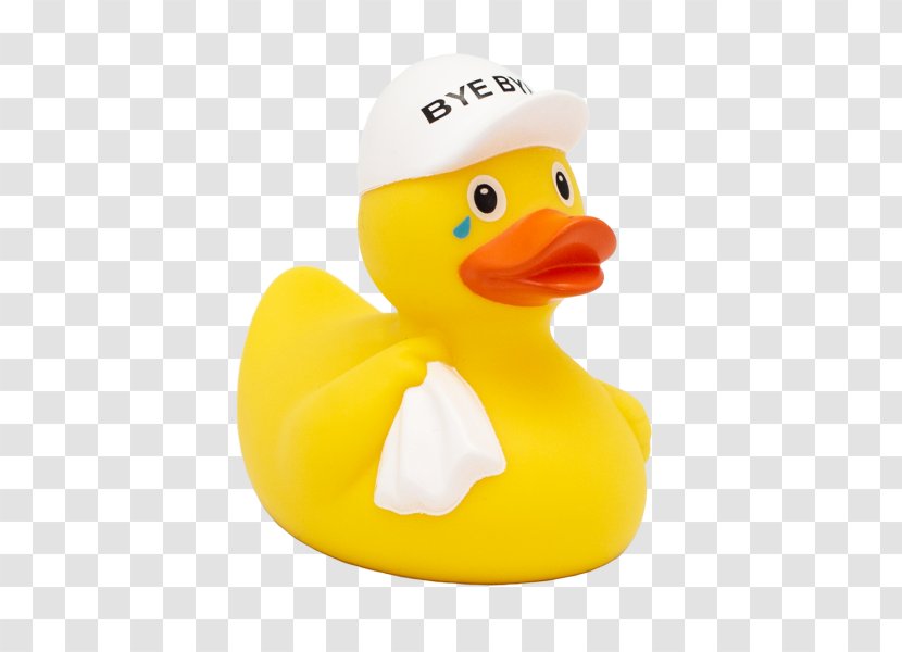 Duck Cartoon - Beak - Waterfowl Transparent PNG