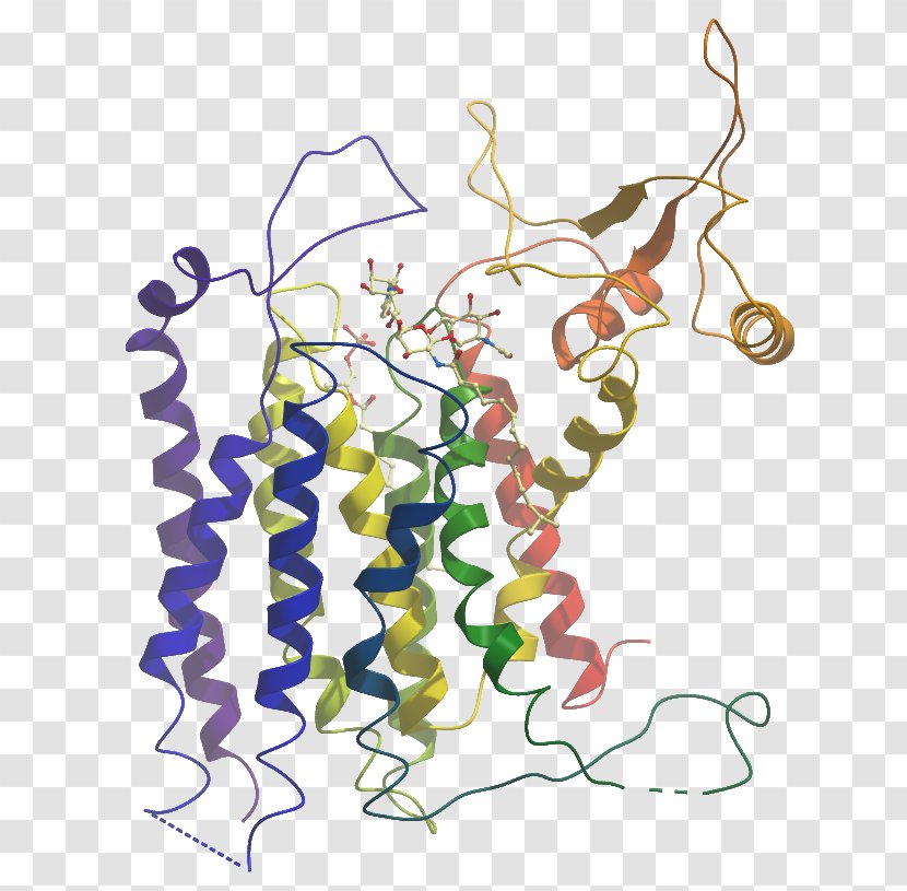 Demethylase Structure Structural Genomics Consortium NTT Data Engineering Systems Corporation Amine Oxidase - Heart - Poly Adpribose Polymerase Transparent PNG