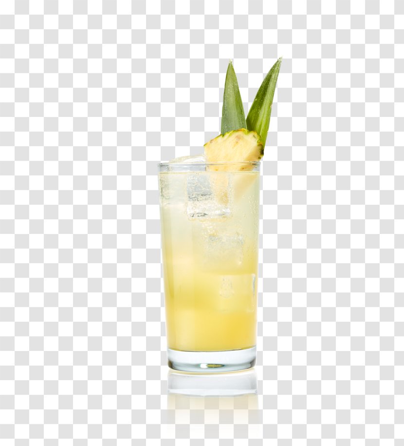 Cocktail Garnish Sea Breeze Mai Tai Harvey Wallbanger Gin And Tonic Transparent PNG