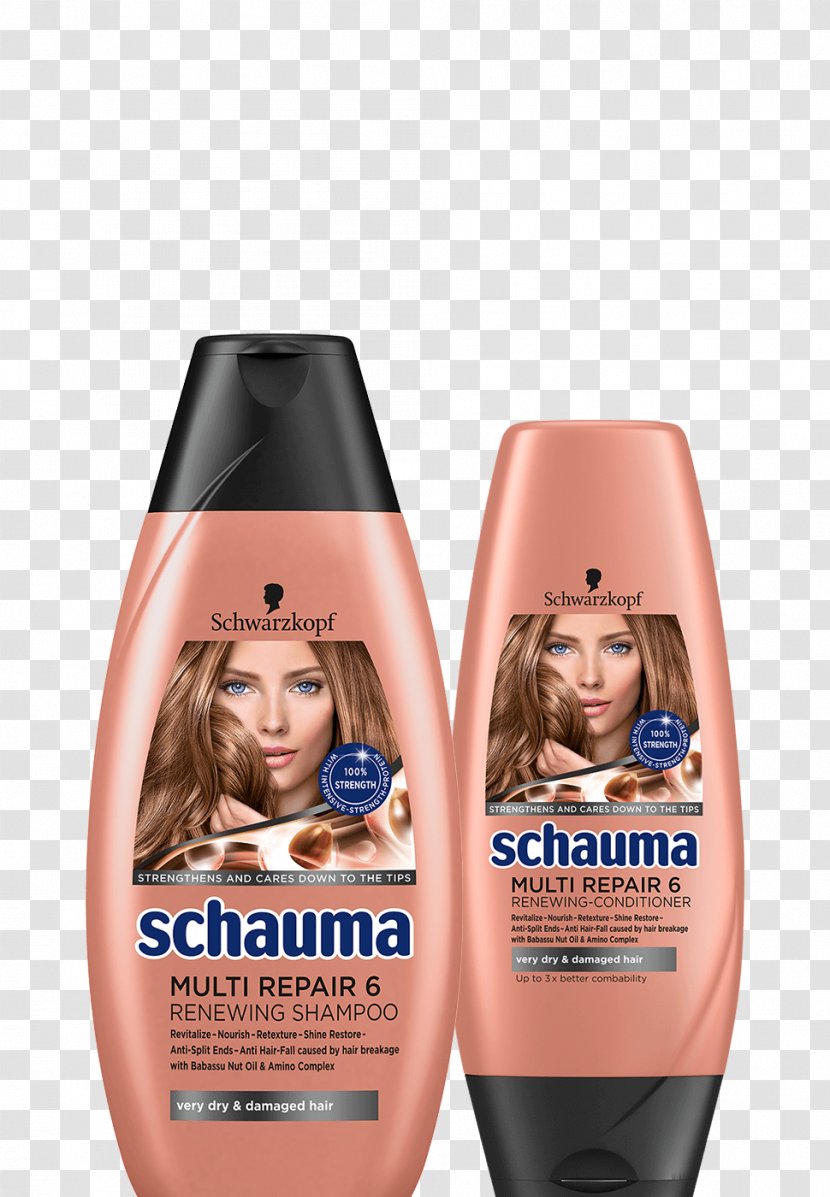 Hair Care Schauma Conditioner Coloring Shampoo - Schwarzkopf - House Repair Transparent PNG