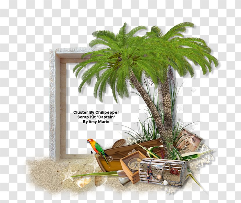 Coconut PSP August 8 Rubbish Bins & Waste Paper Baskets Herb - Psp - Cluster Frames Transparent PNG