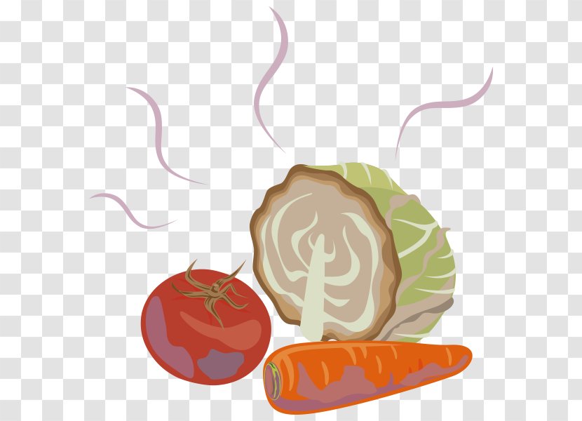 Food Decomposition Illustration Fermentation Product Design - Ingestion - Go To School Transparent PNG