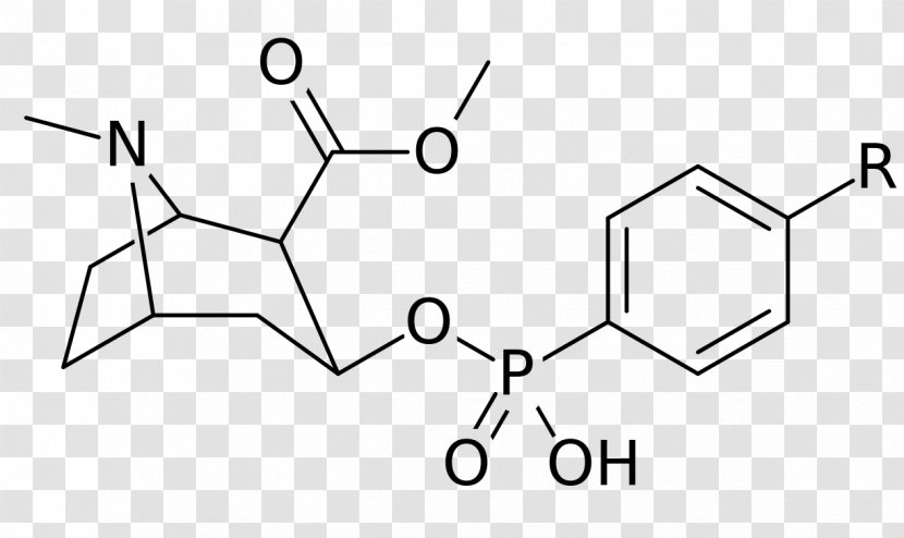 Phenylboronic Acid Chemical Compound Chemistry Substance Methyl Group - Watercolor - Cocain Transparent PNG