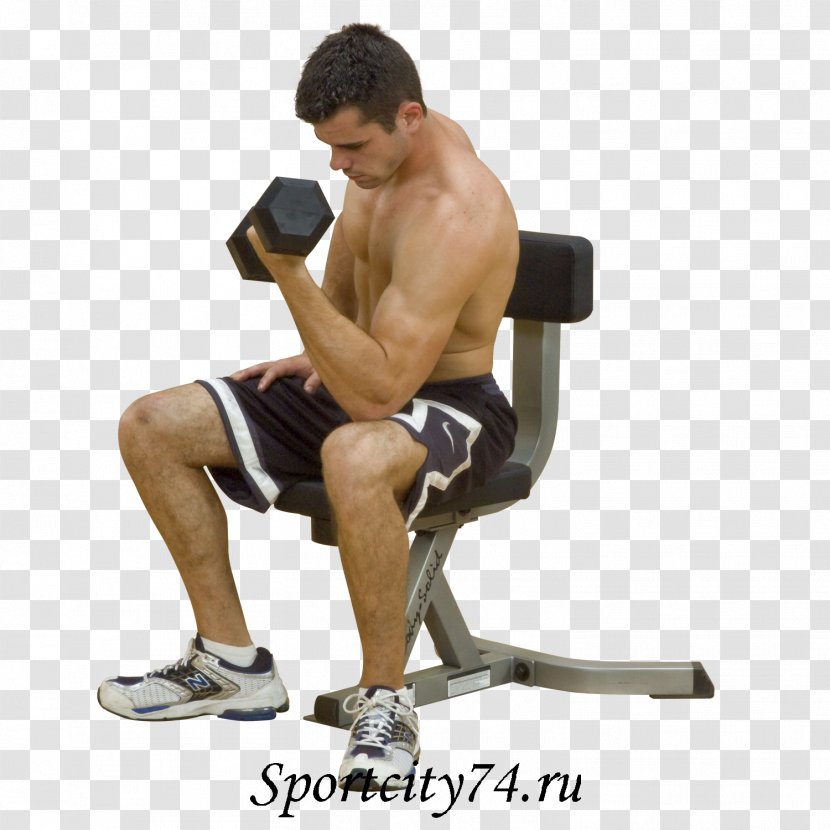 Bench Triceps Brachii Muscle Exercise Biceps Curl Fitness Centre - Tree - Cartoon Transparent PNG