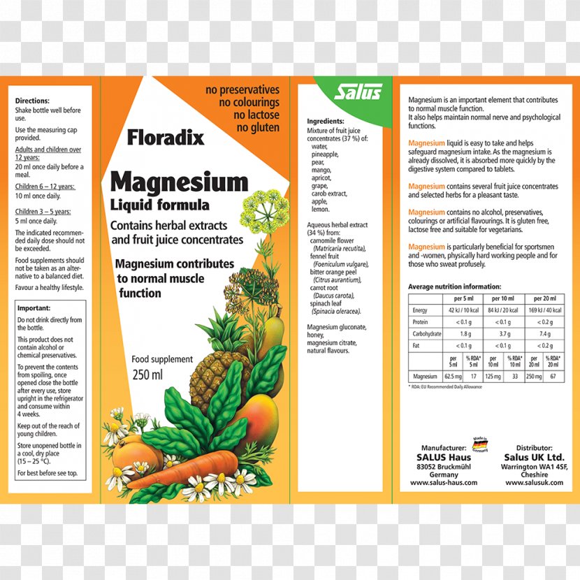 Dietary Supplement Magnesium Deficiency Calcium Nutrition - Folate - Pregnancy Transparent PNG