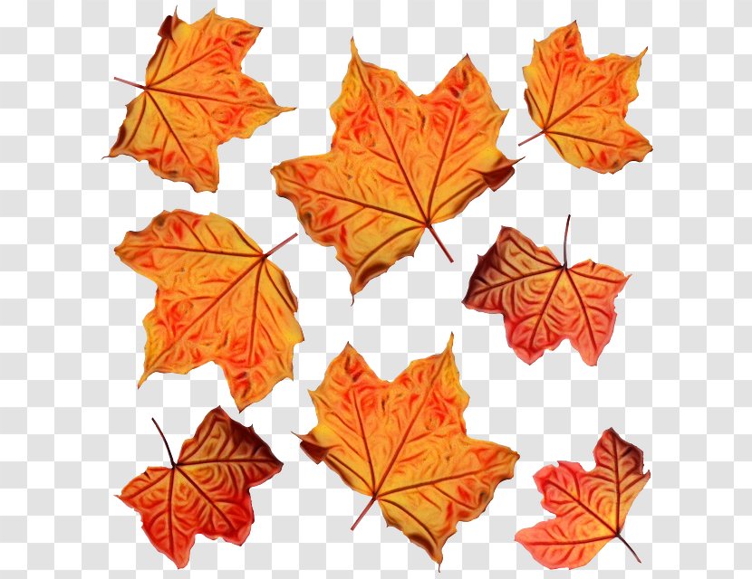 Autumn Leaves Background - Plane - Grape New Mexico Maple Transparent PNG