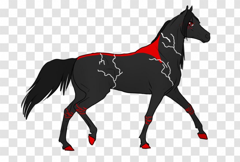Mustang Foal Stallion Pony Mare - Livestock Transparent PNG
