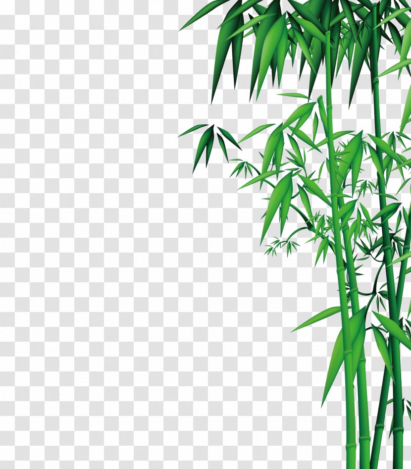 Bamboo Download - Gratis Transparent PNG