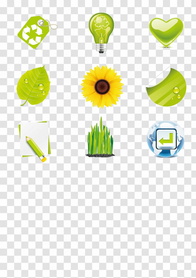 Euclidean Vector Icon - Comparison Of Graphics Editors - Green,environmental Protection Transparent PNG