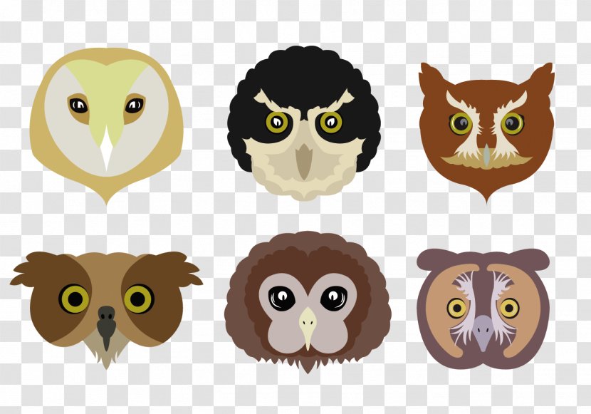 Owl Cartoon Clip Art - Parrot Eagle Head Transparent PNG