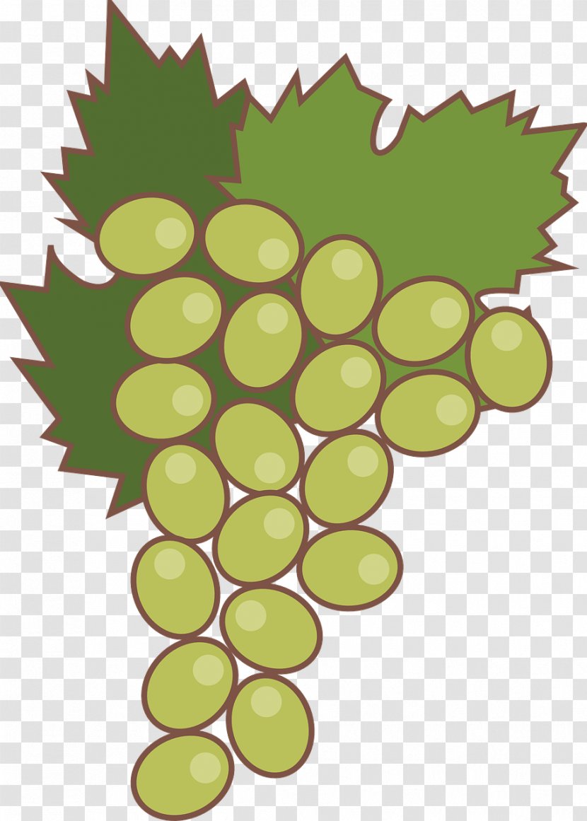 Grapevines Fruit Food Clip Art - Plant - Grapefruit Transparent PNG