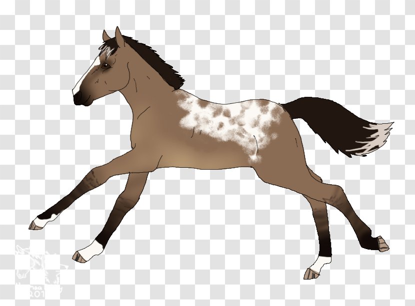 Mustang Foal Stallion Mare Colt - Pack Animal - Snow Patrol Transparent PNG