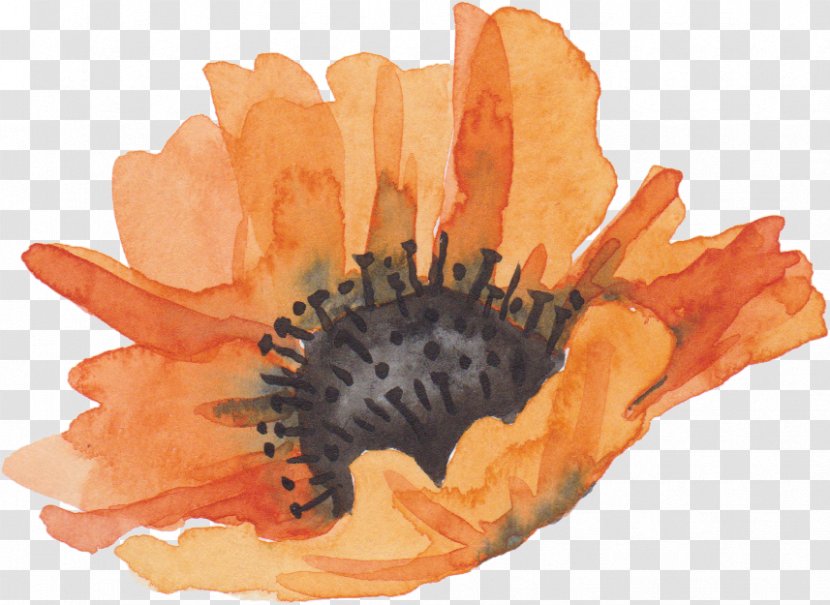 Flower Watercolor Painting Download - Vecteur - Orange Flowers Transparent PNG