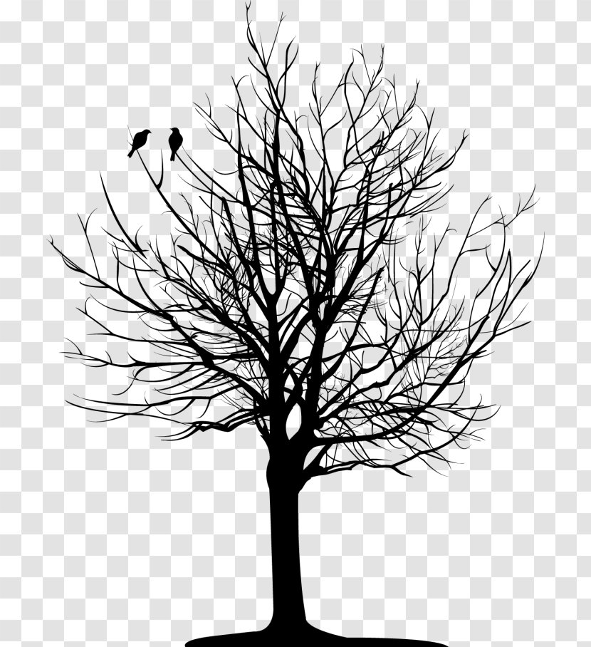 Pine Tree Silhouette - Drawing - Family Transparent PNG