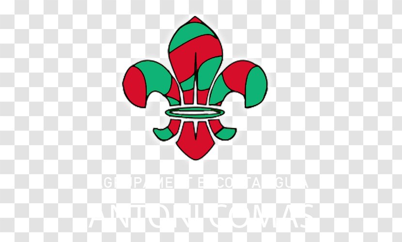 World Organization Of The Scout Movement Scouting Boy Scouts America Group - Bureau - Caterpillar Logo Transparent PNG