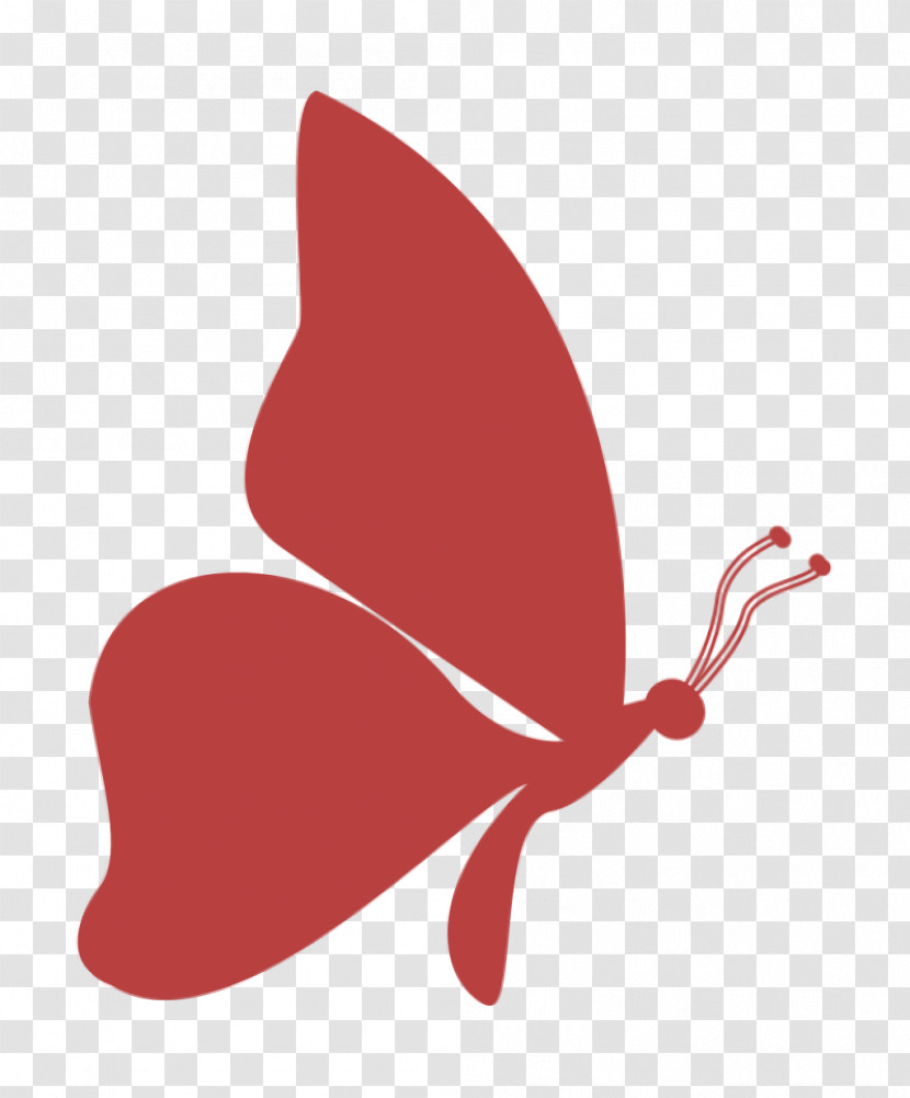 Animals Icon Butterfly Icon Butterflies Icon Transparent PNG