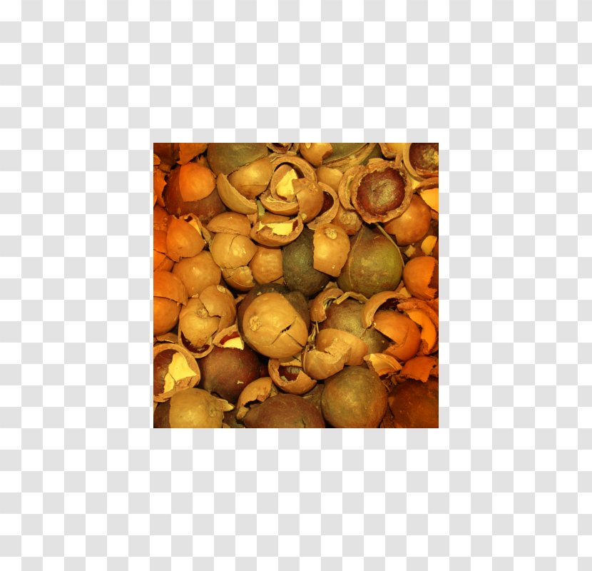 Macadamia Nut Food Gelato - Oil - Fruit Transparent PNG